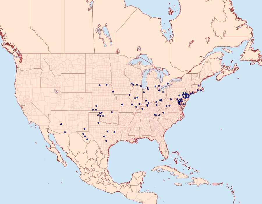 Distribution Data for Dichagyris acclivis