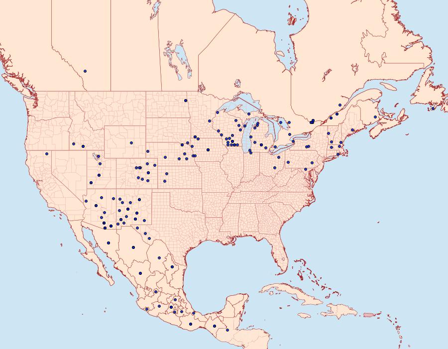 Distribution Data for Striacosta albicosta