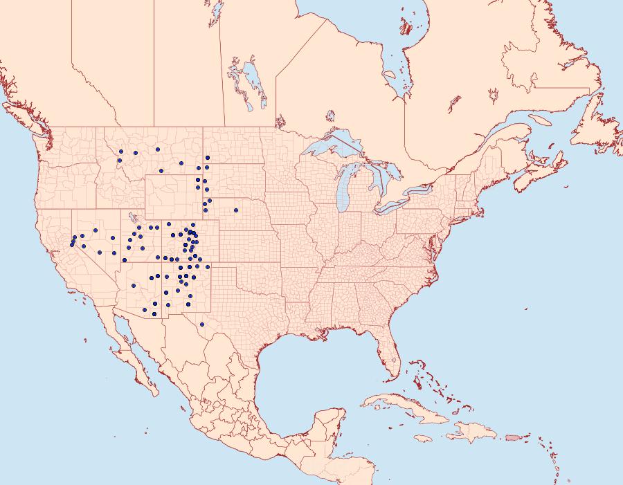 Distribution Data for Richia parentalis