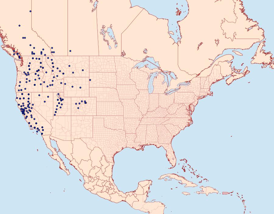 Distribution Data for Dichagyris variabilis