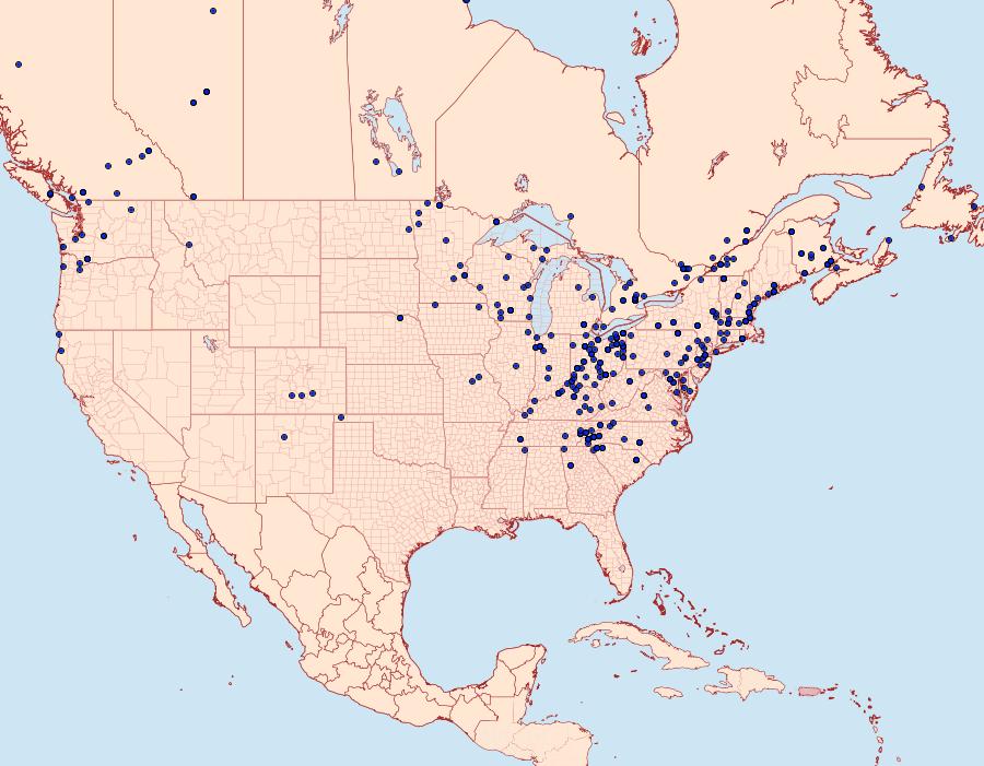 Distribution Data for Ochropleura implecta