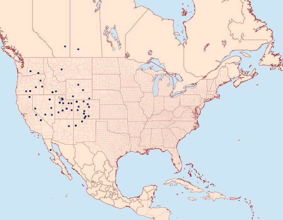 Distribution Data for Protogygia postera