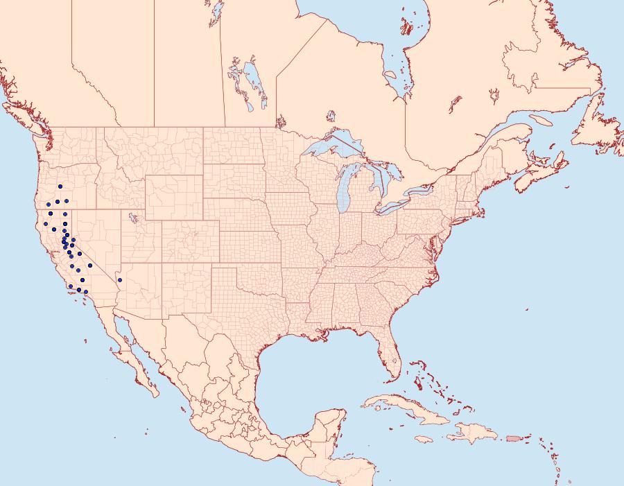 Distribution Data for Protogygia milleri