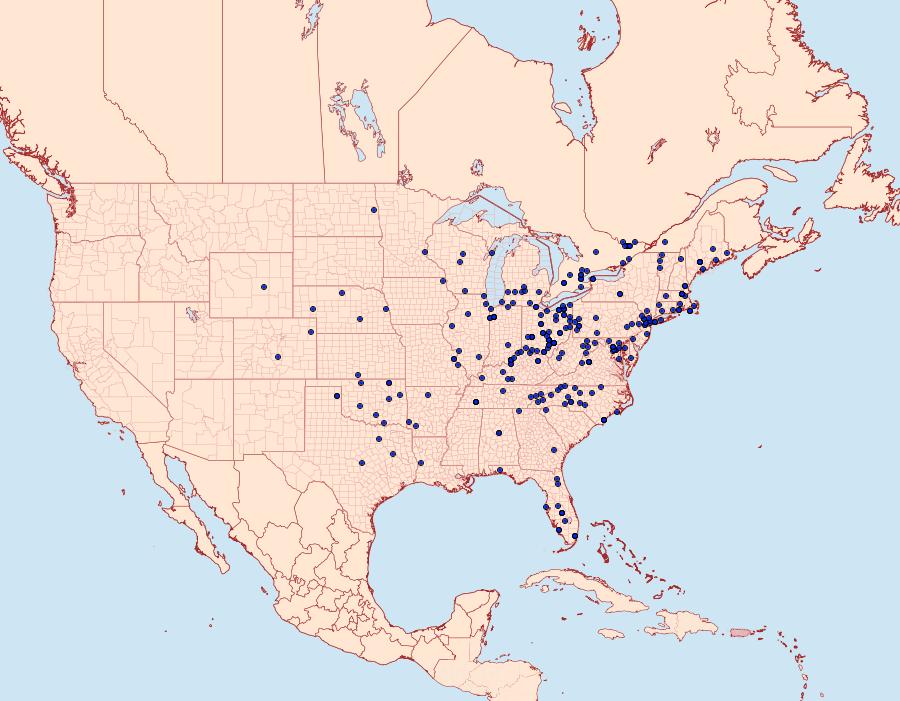 Distribution Data for Anicla illapsa