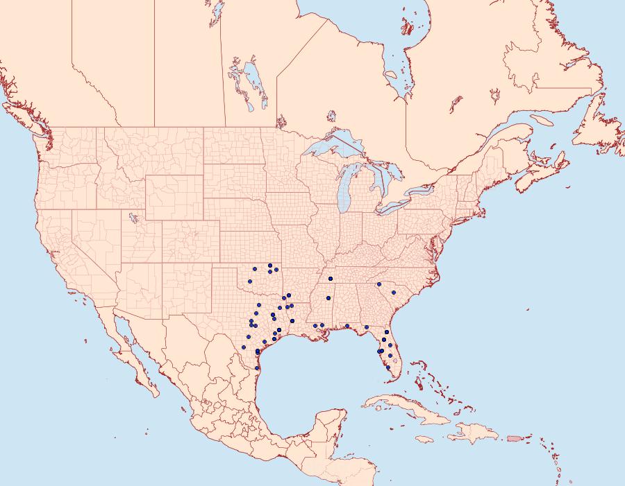 Distribution Data for Anicla simplicius