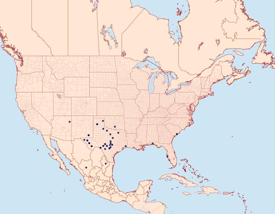 Distribution Data for Anicla digna