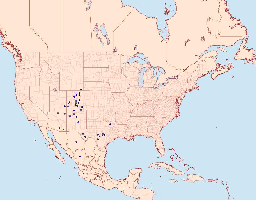 Distribution Data for Anicla espoetia