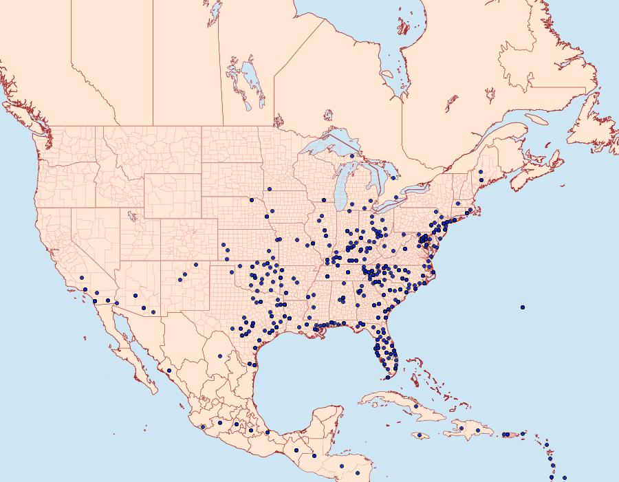 Distribution Data for Anicla infecta