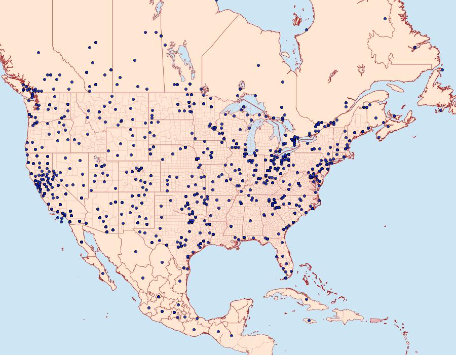 Distribution Data for Peridroma saucia