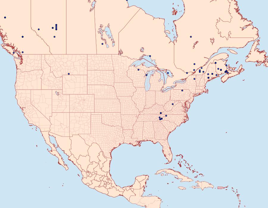 Distribution Data for Diarsia rubifera