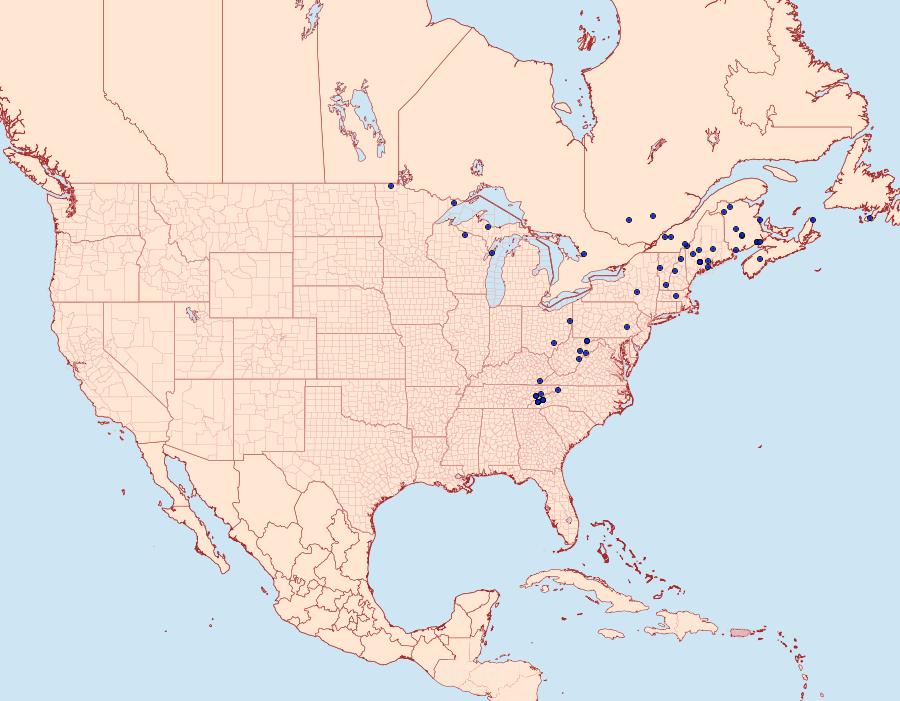 Distribution Data for Diarsia jucunda