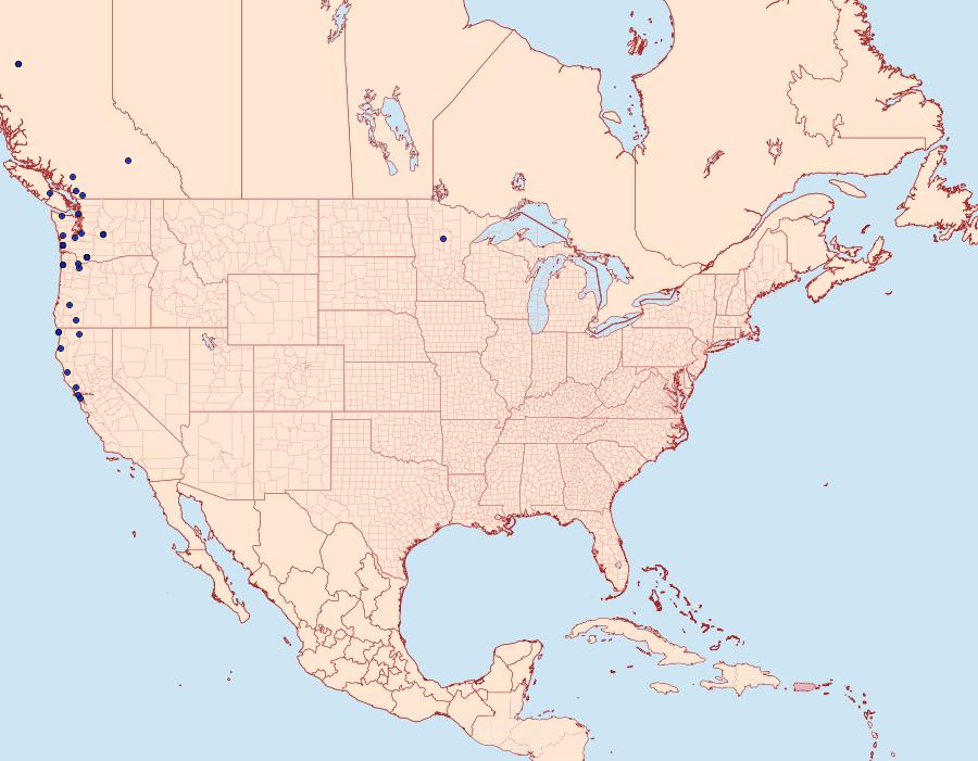 Distribution Data for Diarsia esurialis