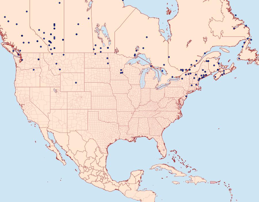 Distribution Data for Actebia fennica