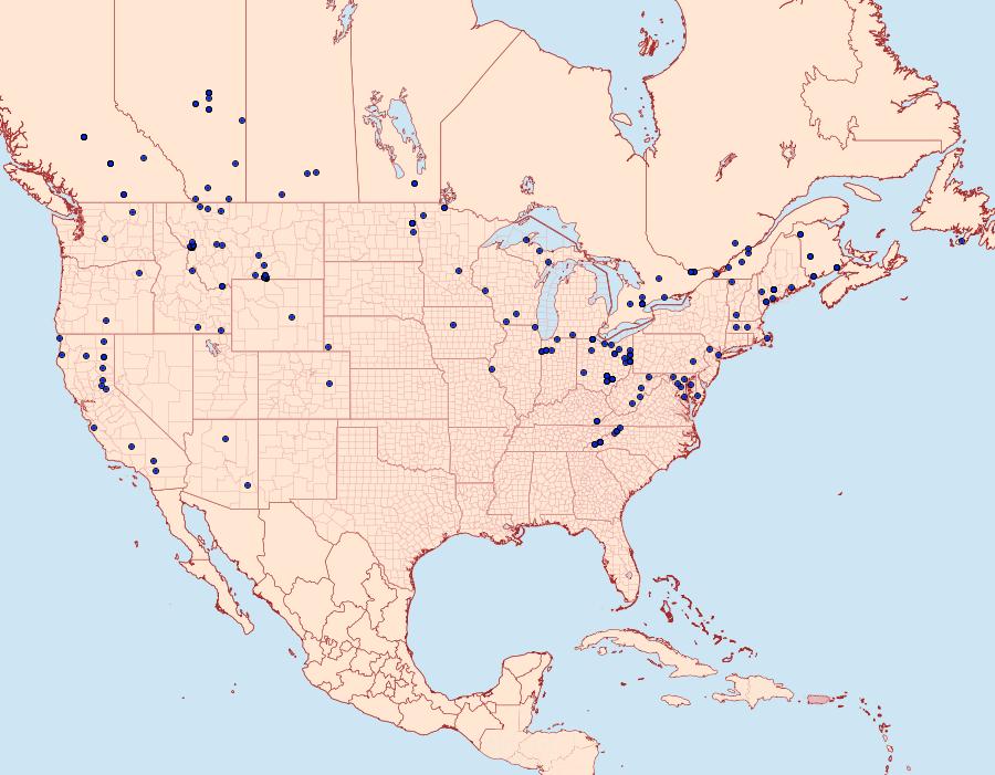 Distribution Data for Spaelotis clandestina