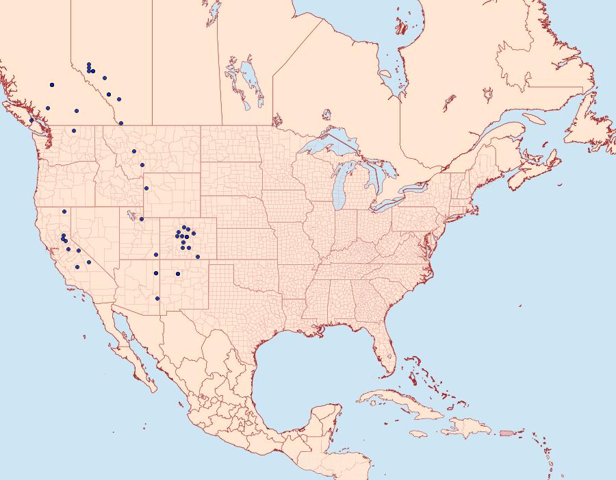 Distribution Data for Eurois nigra