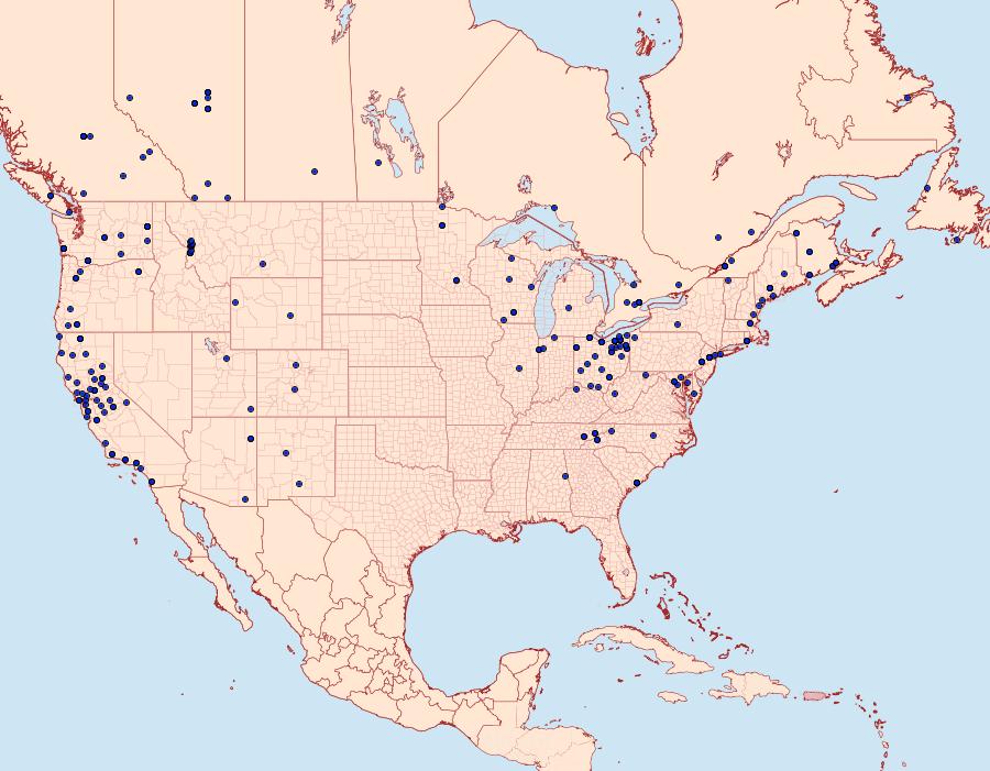 Distribution Data for Xestia c-nigrum