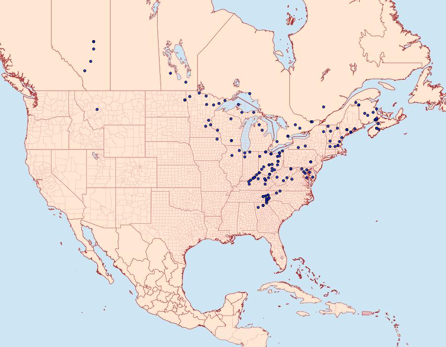 Distribution Data for Xestia normanianus