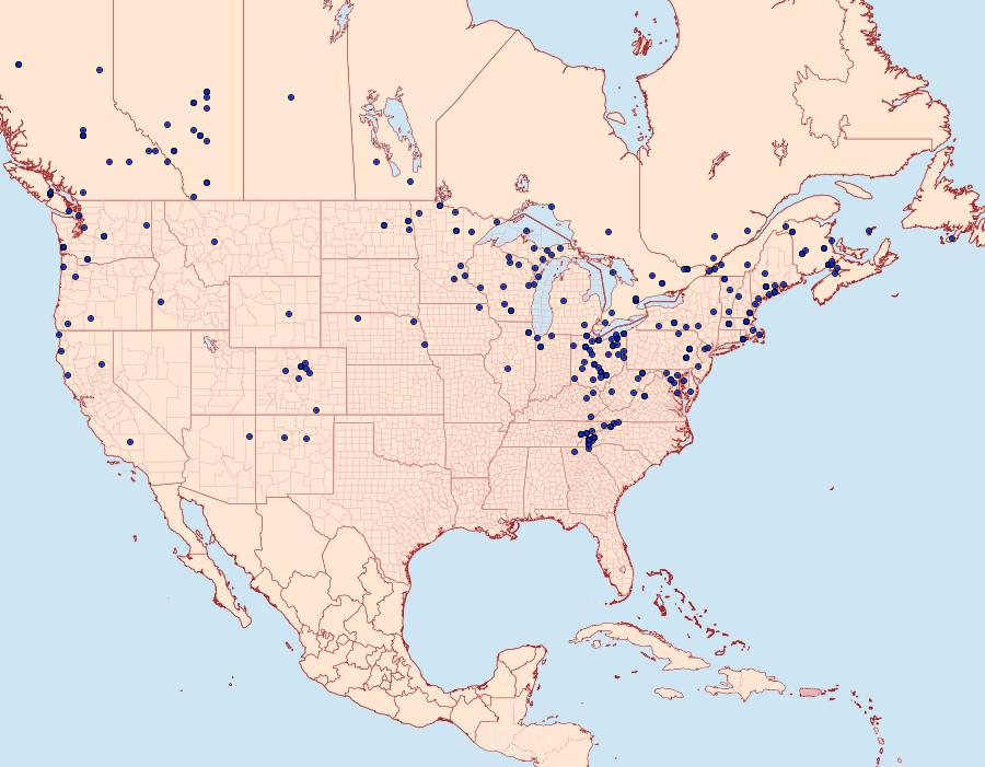 Distribution Data for Xestia smithii