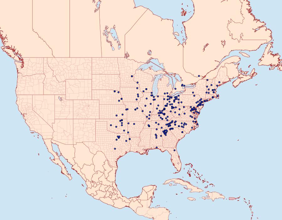 Distribution Data for Agnorisma badinodis