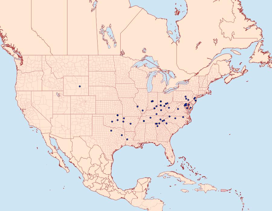 Distribution Data for Agnorisma bollii