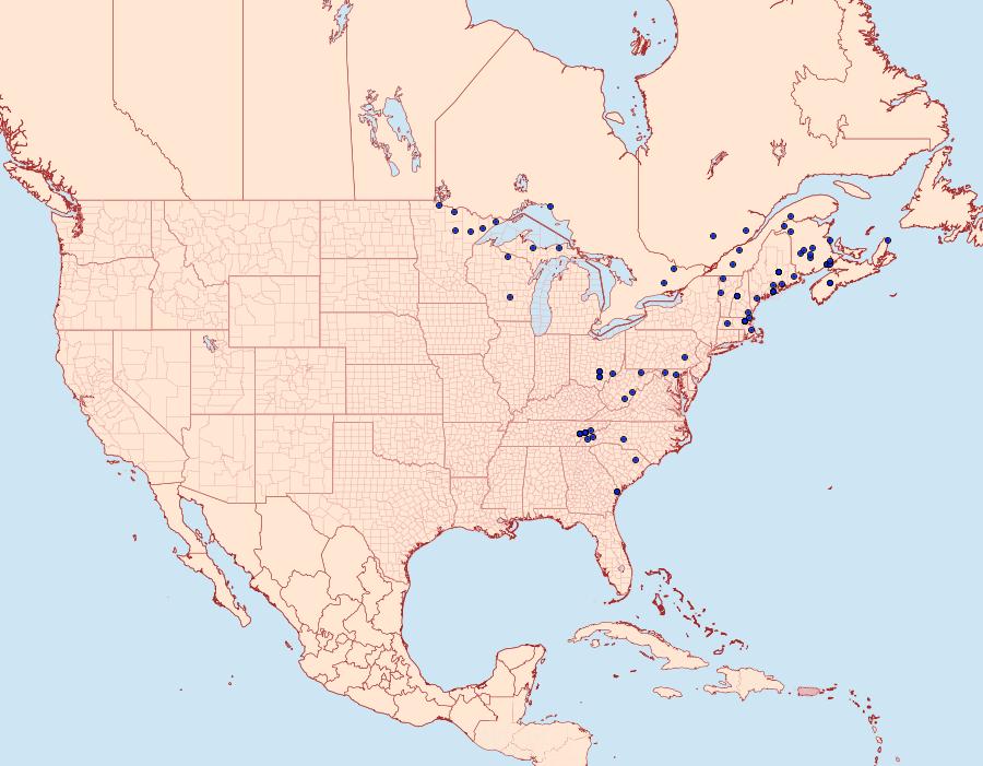 Distribution Data for Xestia badicollis