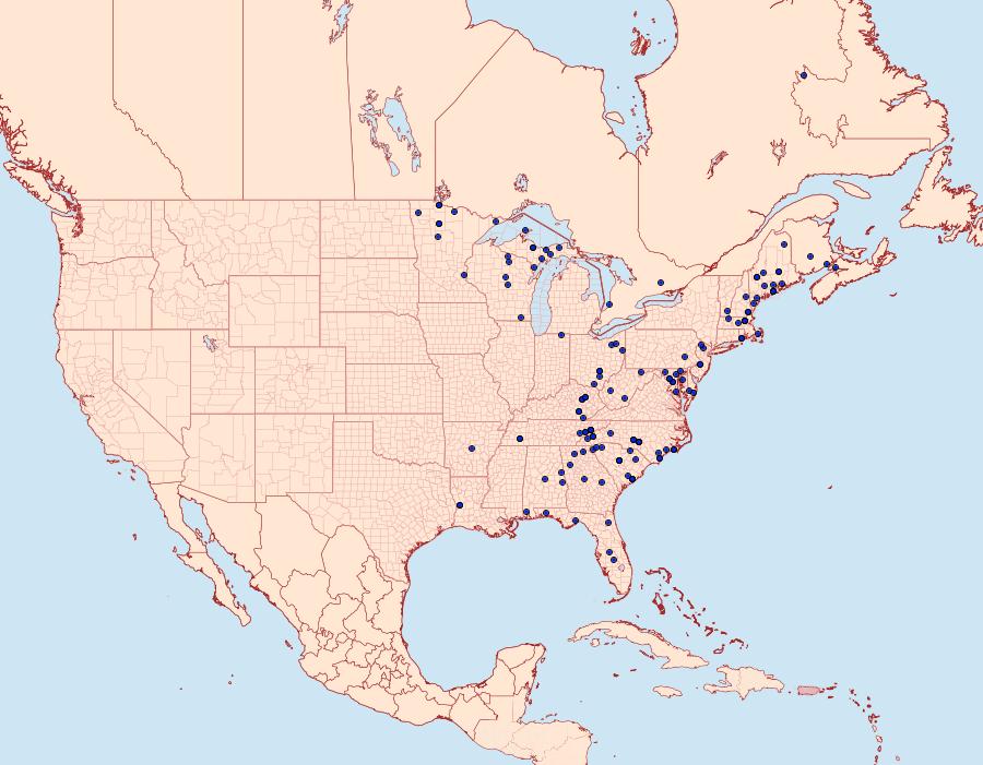 Distribution Data for Xestia dilucida