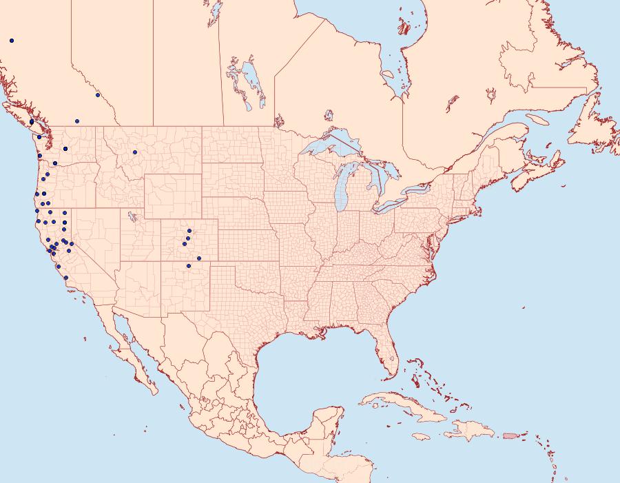 Distribution Data for Xestia mustelina