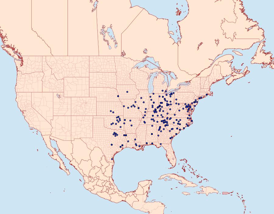 Distribution Data for Choephora fungorum