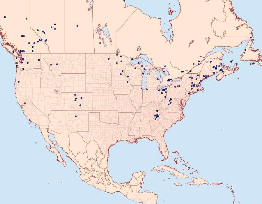 Distribution Data for Anaplectoides prasina