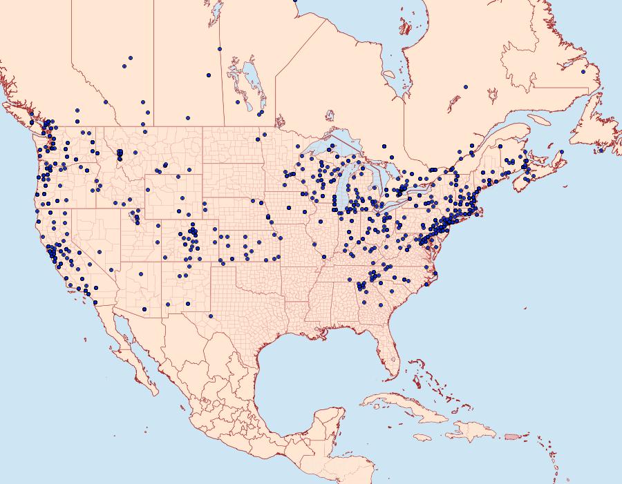 Distribution Data for Noctua pronuba