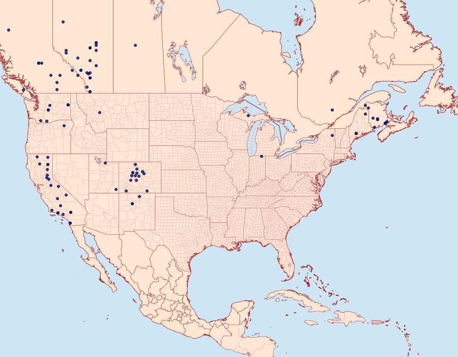 Distribution Data for Protolampra rufipectus