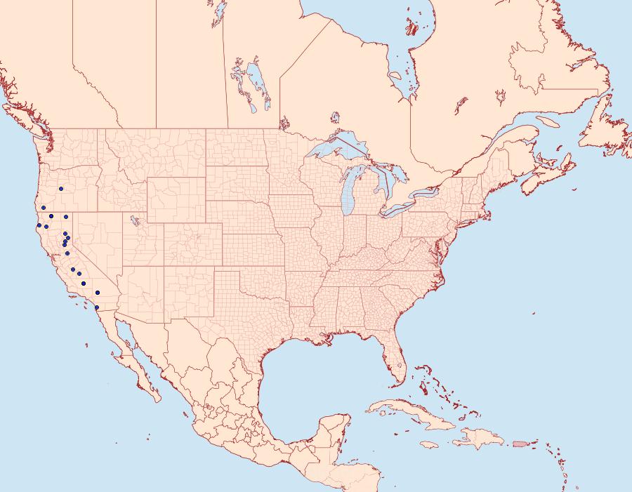 Distribution Data for Abagrotis rubricundis