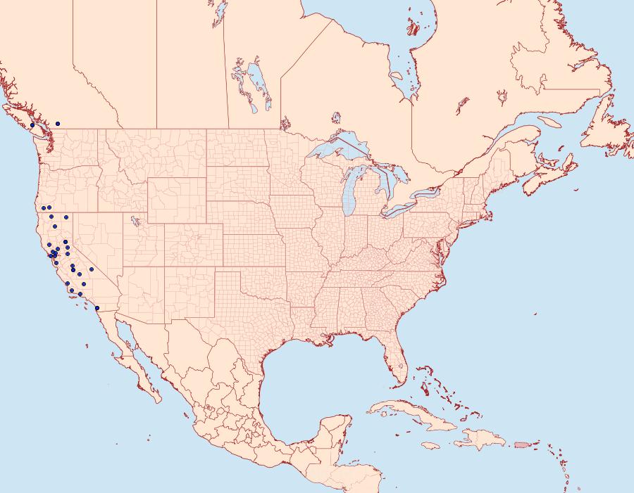 Distribution Data for Abagrotis baueri