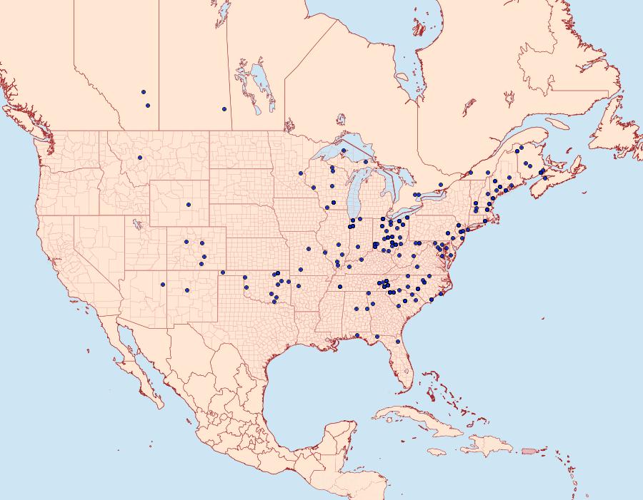 Distribution Data for Abagrotis alternata