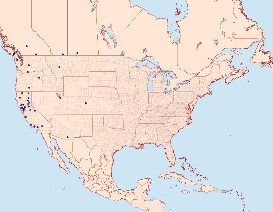 Distribution Data for Abagrotis variata