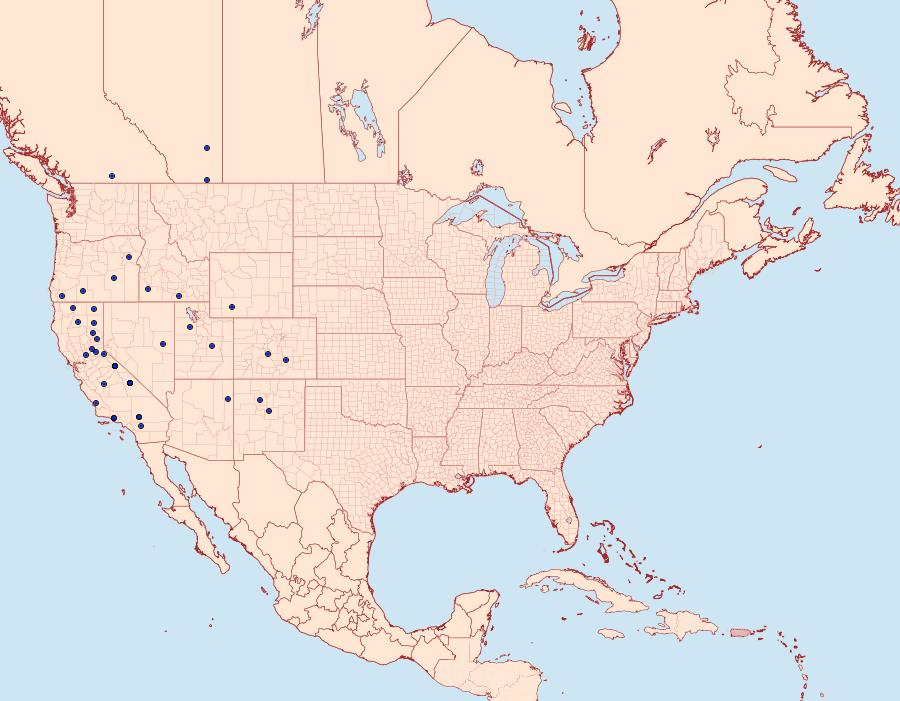 Distribution Data for Abagrotis discoidalis