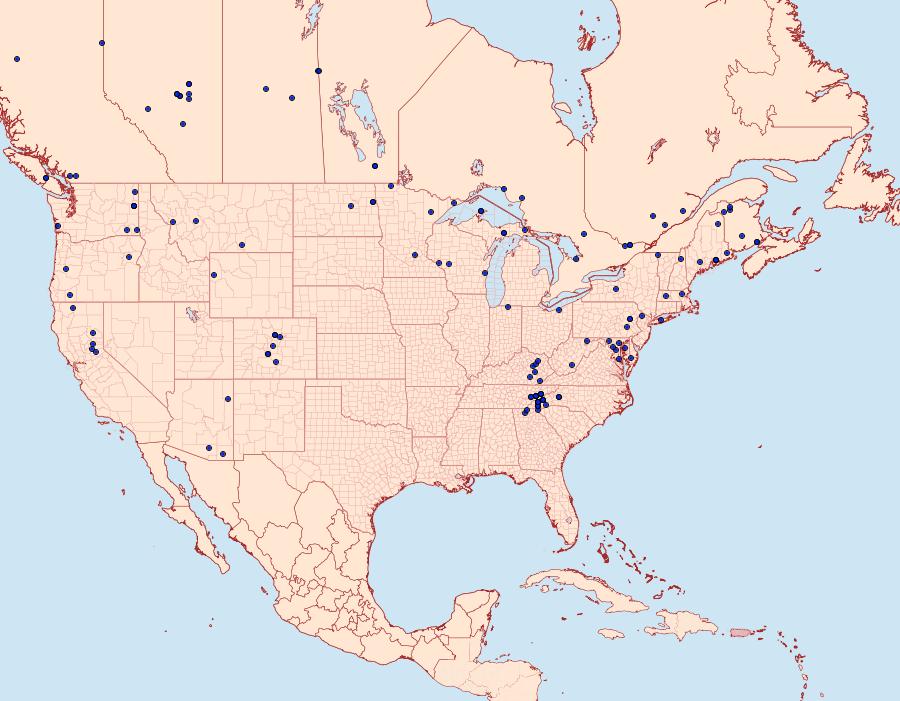 Distribution Data for Pyrrhia exprimens