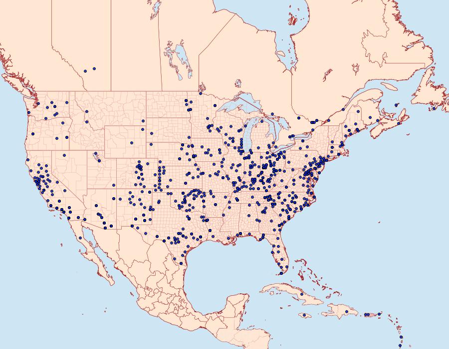 Distribution Data for Helicoverpa zea