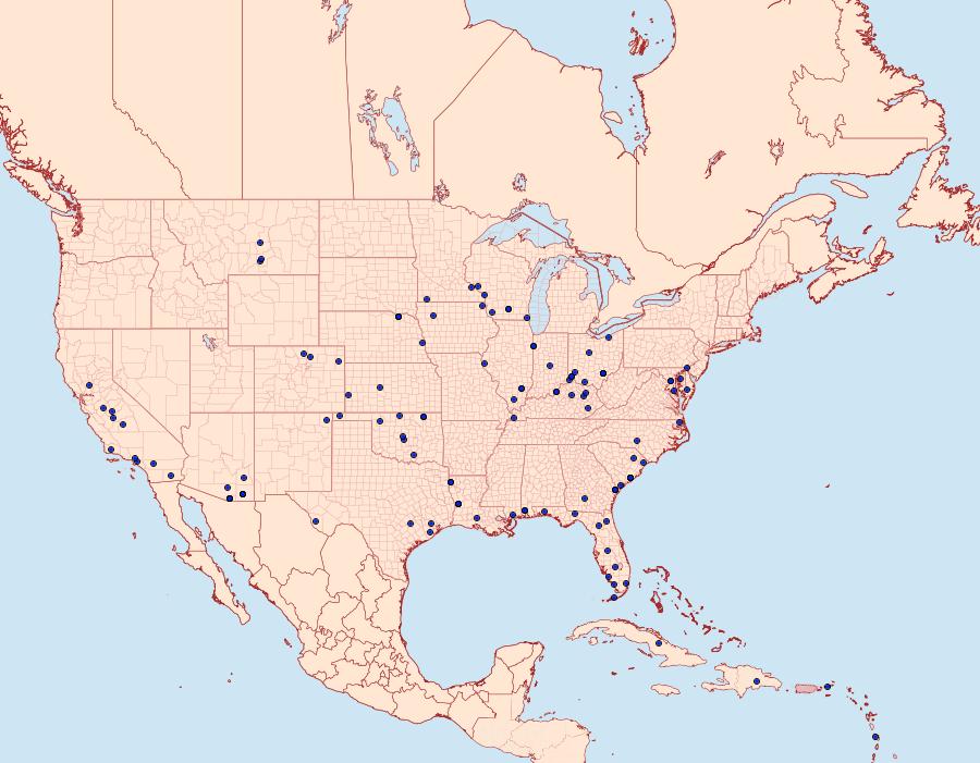 Distribution Data for Chloridea subflexa