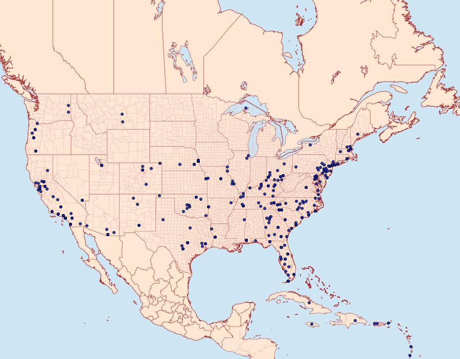 Distribution Data for Chloridea virescens