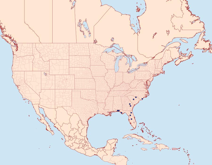 Distribution Data for Schinia scissoides