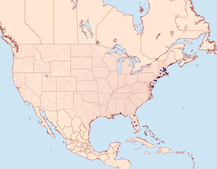 Distribution Data for Schinia spinosae