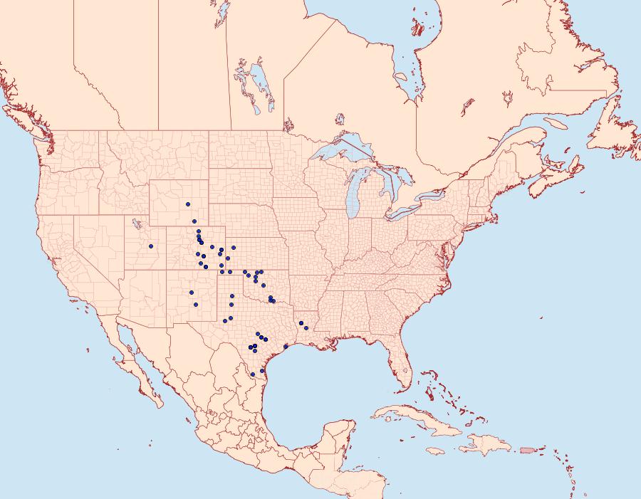 Distribution Data for Schinia volupia