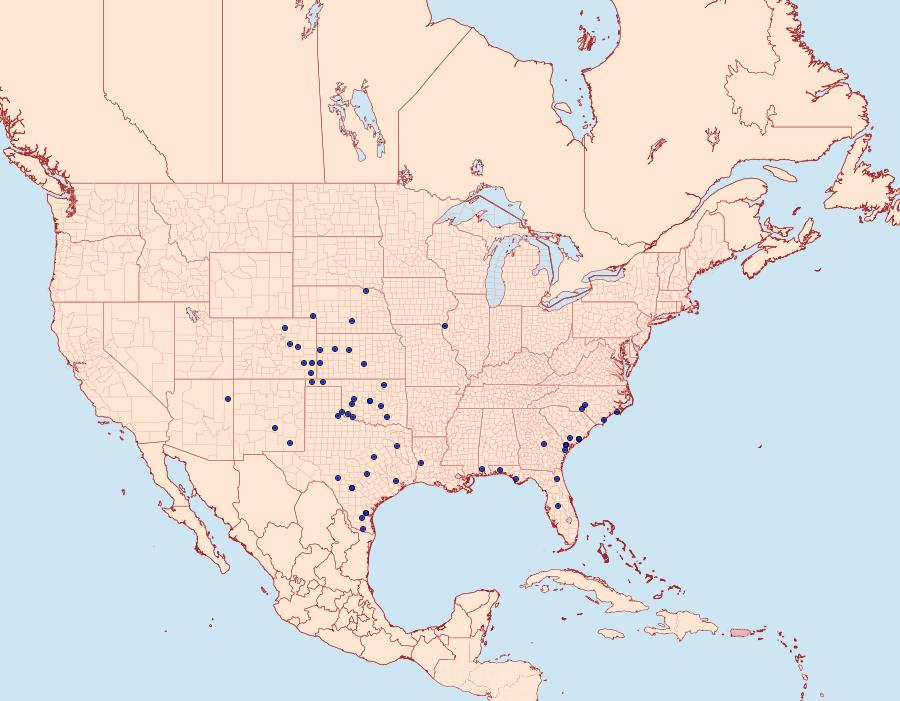 Distribution Data for Schinia siren