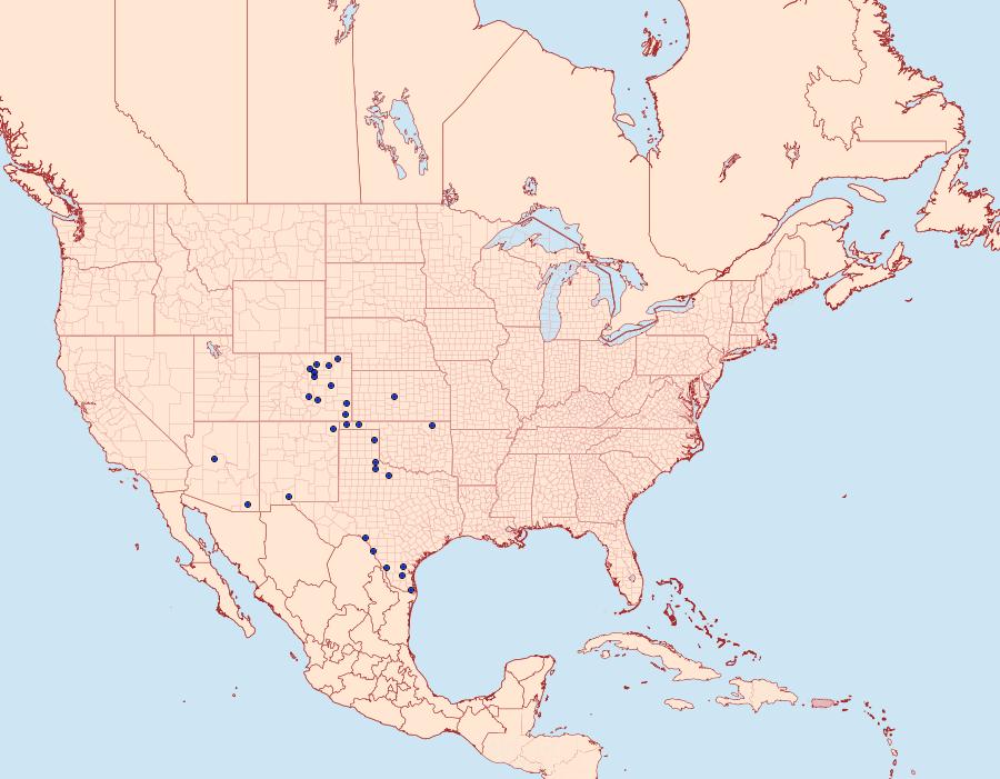 Distribution Data for Schinia bicuspida