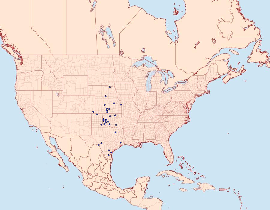 Distribution Data for Schinia ultima