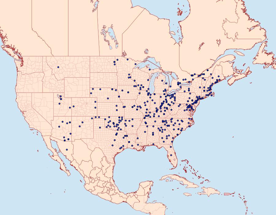 Distribution Data for Schinia arcigera