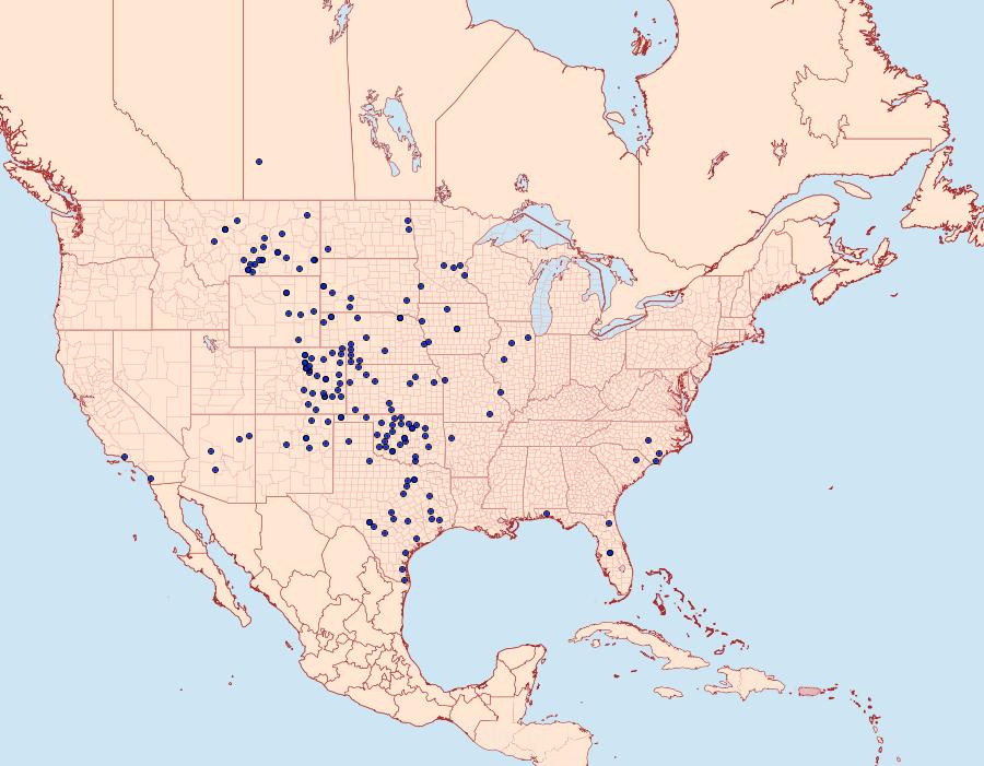 Distribution Data for Schinia jaguarina