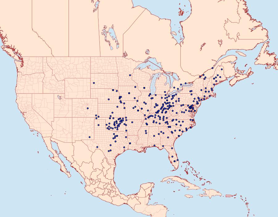 Distribution Data for Schinia rivulosa