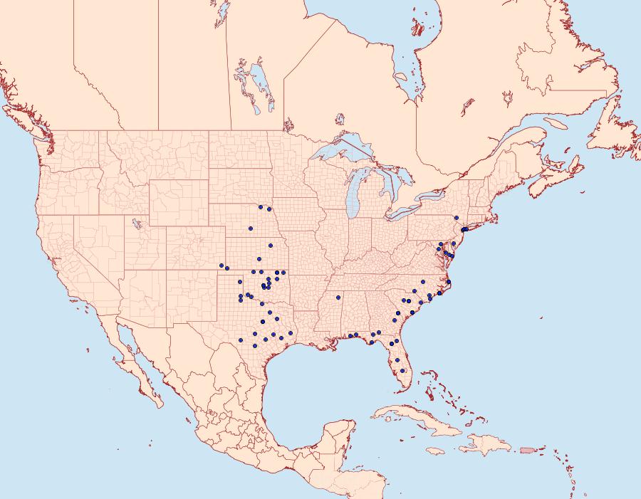 Distribution Data for Schinia nubila